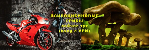 бошки Алексеевка